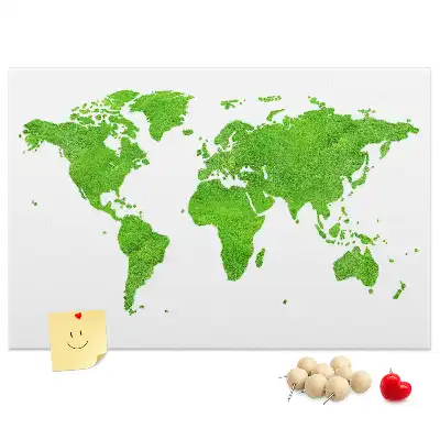 Nástěnka korková Mapa zelené trávy