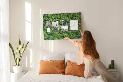 Nástěnka do dětského pokoje Les z ptačí perspektivy