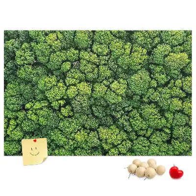 Nástěnka do dětského pokoje Les z ptačí perspektivy