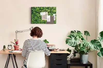 Nástěnka do dětského pokoje Les z ptačí perspektivy