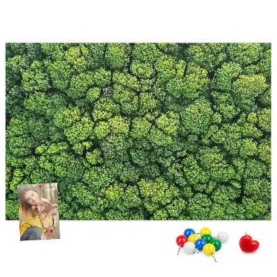 Nástěnka do dětského pokoje Les z ptačí perspektivy