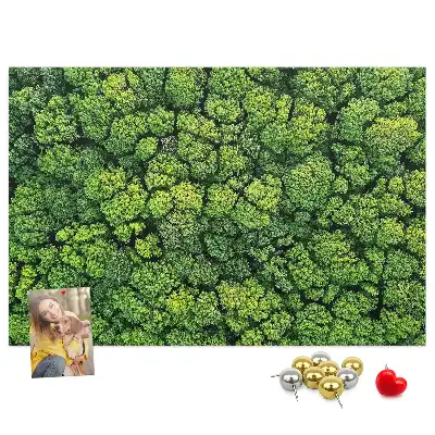 Nástěnka do dětského pokoje Les z ptačí perspektivy