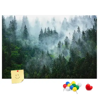 Korková nástěnka Mlhavý jehličnatý prales