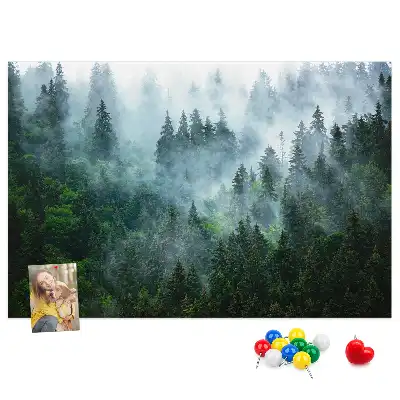 Korková nástěnka Mlhavý jehličnatý prales
