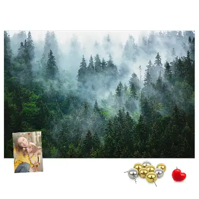 Nástěnka korková Mlžný les