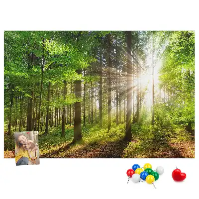 Korková nástěnka Les při východu slunce