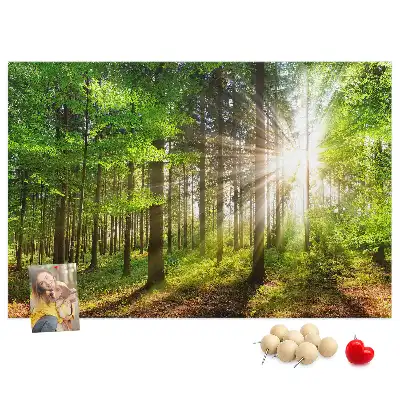 Korková tabule Východ slunce v lese