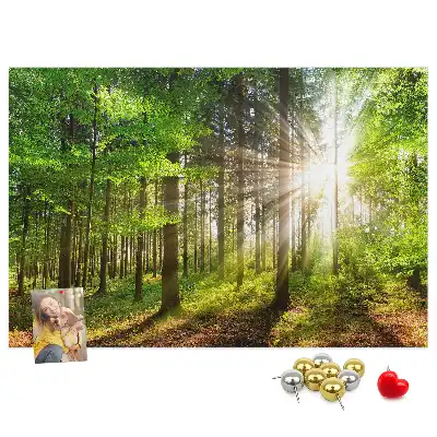 Korková tabule Východ slunce v lese