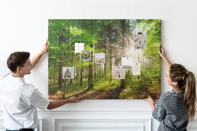 Korková tabule Východ slunce v lese