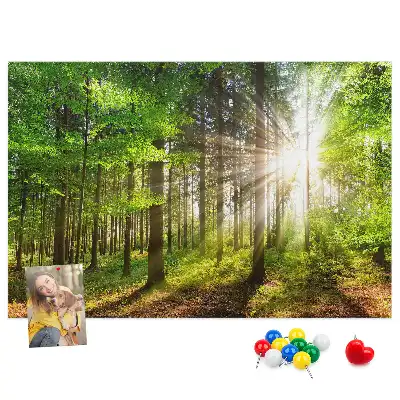 Korková tabule Východ slunce v lese
