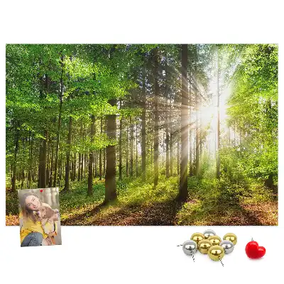 Korková tabule Východ slunce v lese