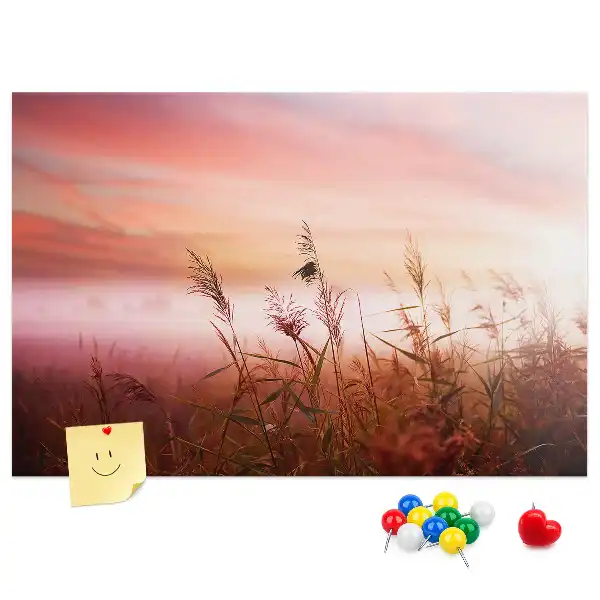 Nástěnka do dětského pokoje Mlhavé ráno