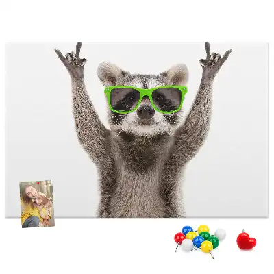 Nástěnka do dětského pokoje Mýval v brýlích