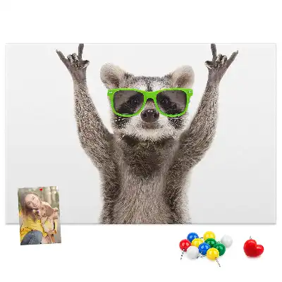 Nástěnka do dětského pokoje Mýval s brýlemi