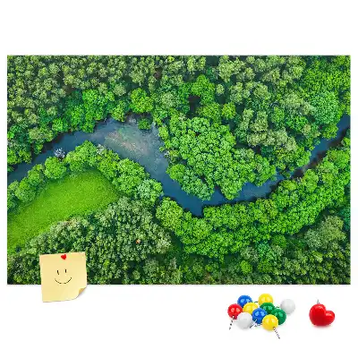 Nástěnka do dětského pokoje Řeka v lese