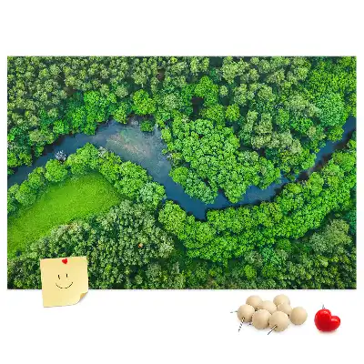Nástěnka do dětského pokoje Řeka v lese