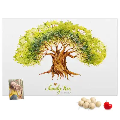 Nástěnka korková Rodokmen