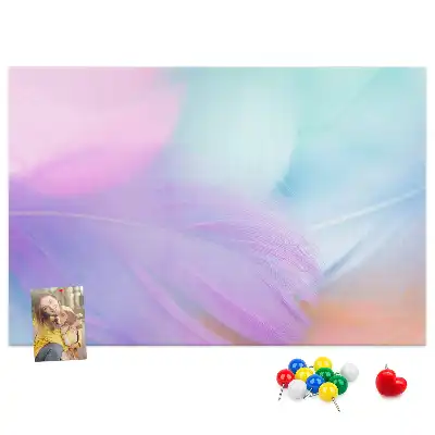 Nástěnka do dětského pokoje Barevné peří