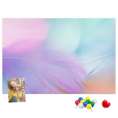 Nástěnka do dětského pokoje Barevné peří