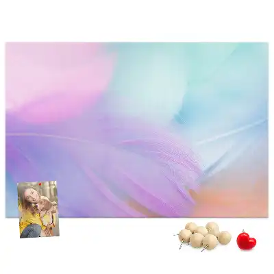 Nástěnka do dětského pokoje Barevná pírka