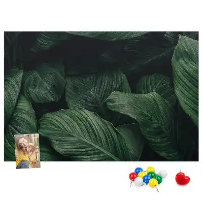 Nástěnka do dětského pokoje Tropická monstera