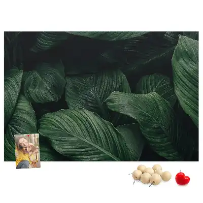 Nástěnka do dětského pokoje Tropická monstera