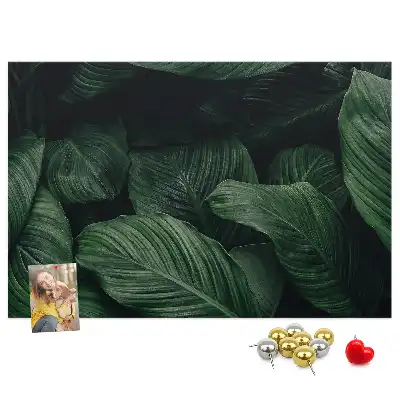 Nástěnka do dětského pokoje Tropická monstera