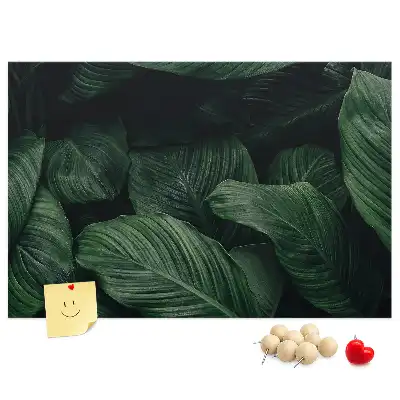 Nástěnka do dětského pokoje Tropická monstera