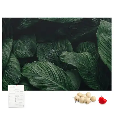Nástěnka do dětského pokoje Tropická monstera