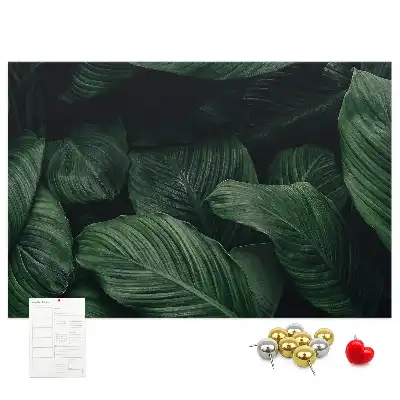 Nástěnka do dětského pokoje Tropická monstera