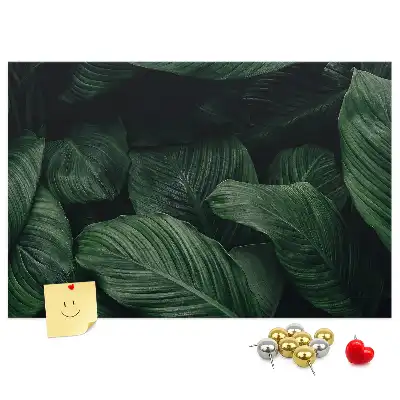 Nástěnka do dětského pokoje Tropická monstera