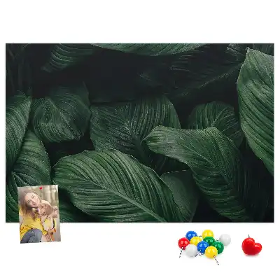 Nástěnka do dětského pokoje Tropická monstera