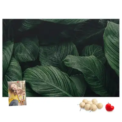 Nástěnka do dětského pokoje Tropická monstera