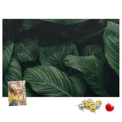 Nástěnka do dětského pokoje Tropická monstera