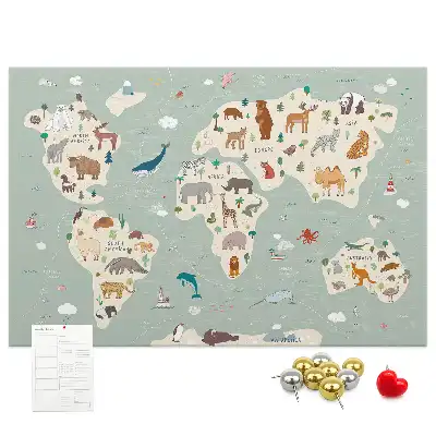 Nástěnka korková Mapa světa se zvířaty