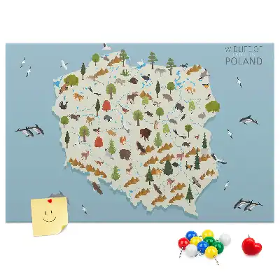 Korková nástěnka Mapa zvířat Polska