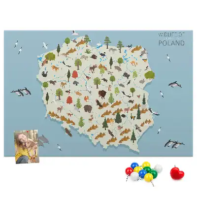 Korková nástěnka Mapa zvířat Polska