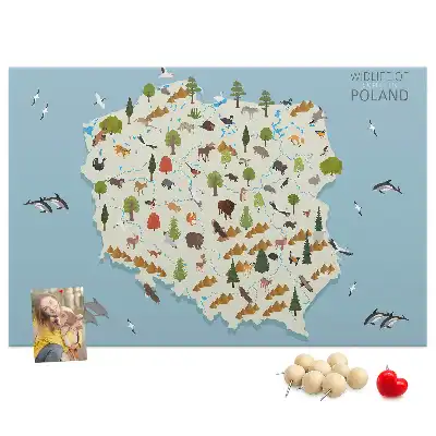 Korková nástěnka Mapa zvířat Polska