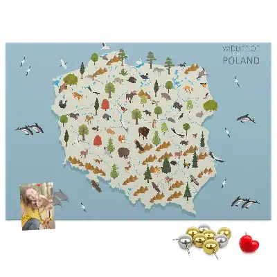 Korková nástěnka Mapa zvířat Polska