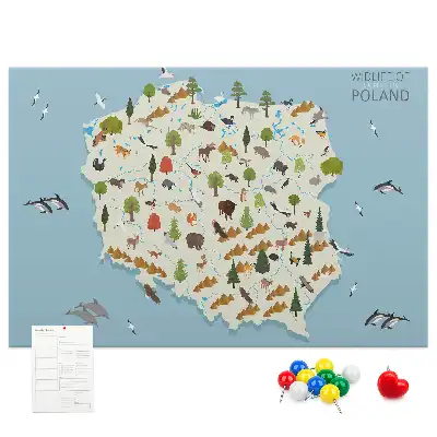 Korková nástěnka Mapa zvířat Polska