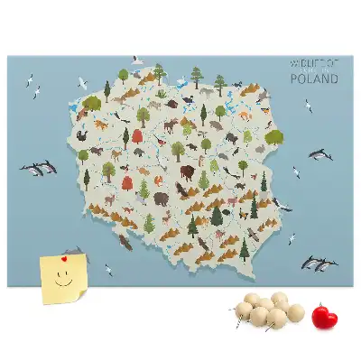 Korková nástěnka Mapa zvířat Polska