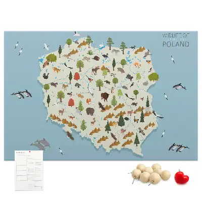Korková nástěnka Mapa zvířat Polska