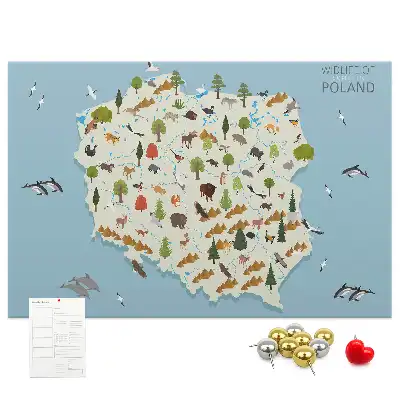 Korková nástěnka Mapa zvířat Polska