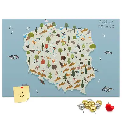 Korková nástěnka Mapa zvířat Polska