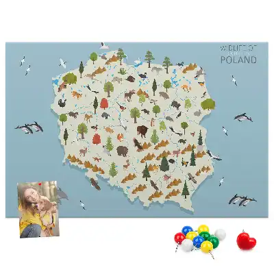 Korková nástěnka Mapa zvířat Polska