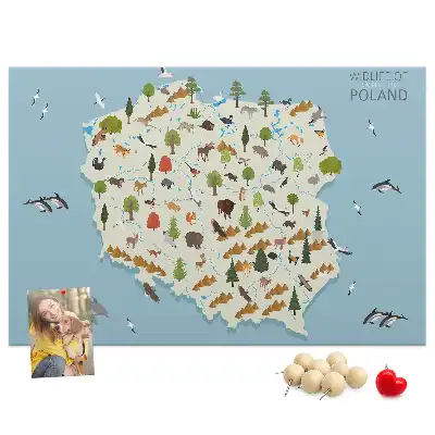 Korková nástěnka Mapa zvířat Polska