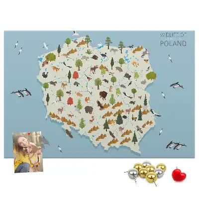Korková nástěnka Mapa zvířat Polska