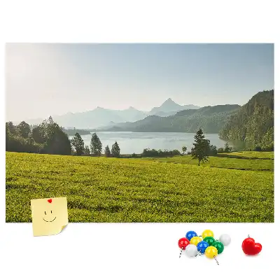 Nástěnka do dětského pokoje Horské pole