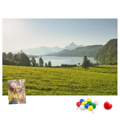 Nástěnka do dětského pokoje Horské pole