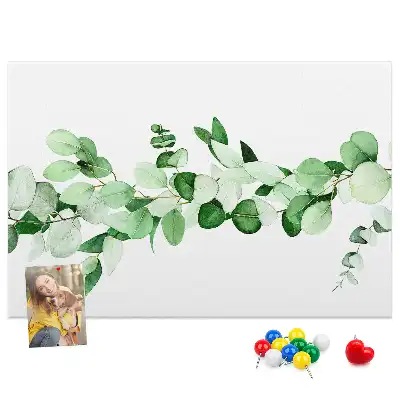 Nástěnka korková Větev rostliny